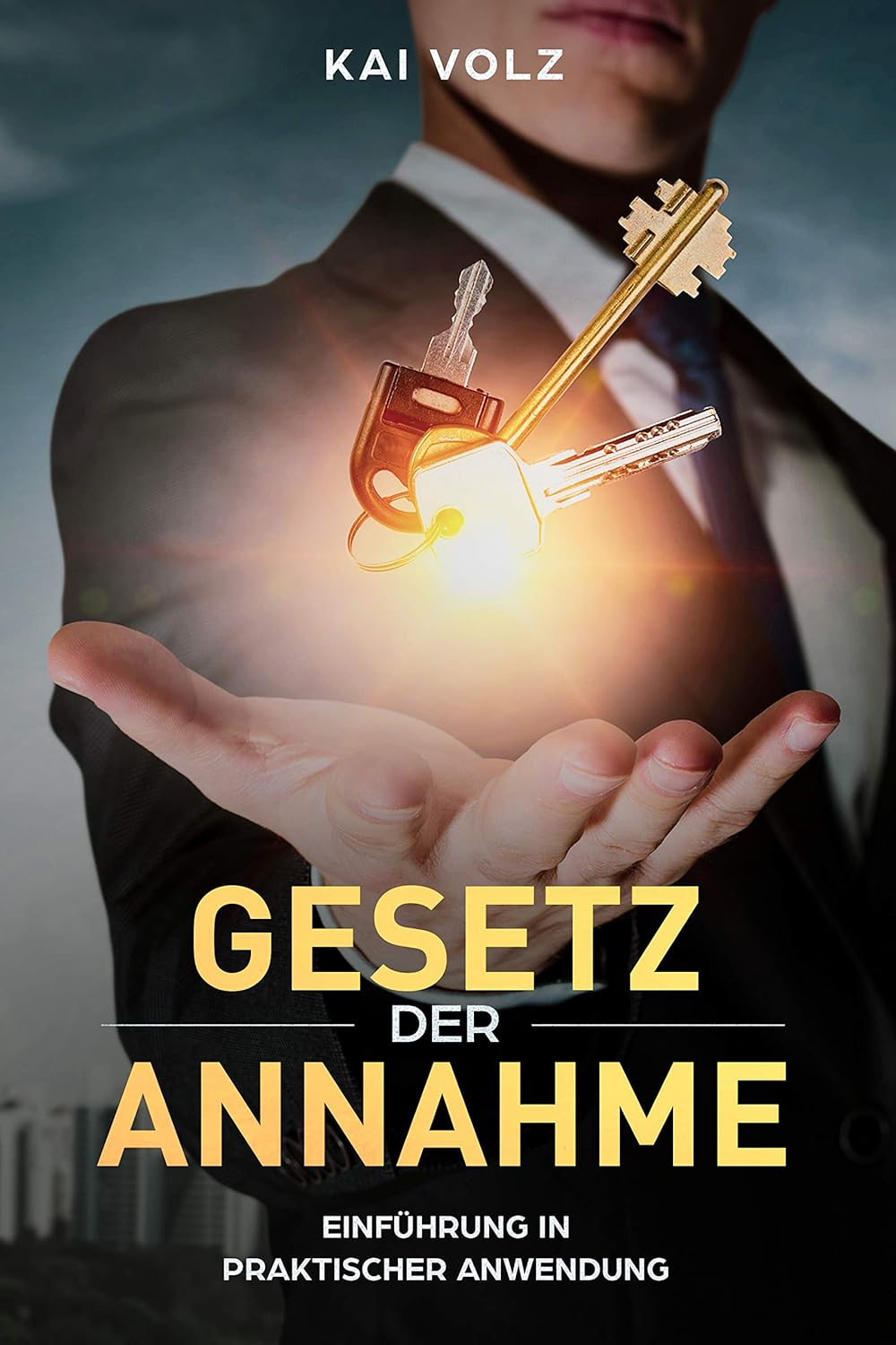 Gesetz der Annahme: Praktische Tipps für ein erfolgreiches und ...